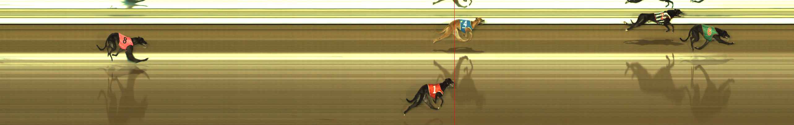Race result finish photo